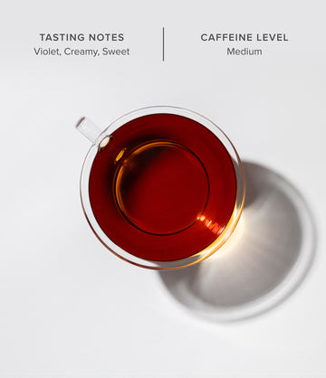 Illuminate tea brewed in a glass cup – Art of Tea